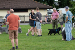 IMG_9262